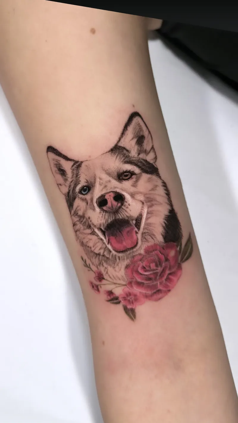 Husky portrait with a soft pink rose on the upper arm